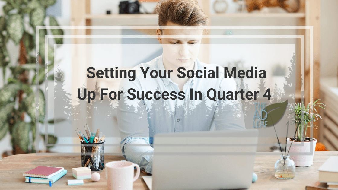 social media management services