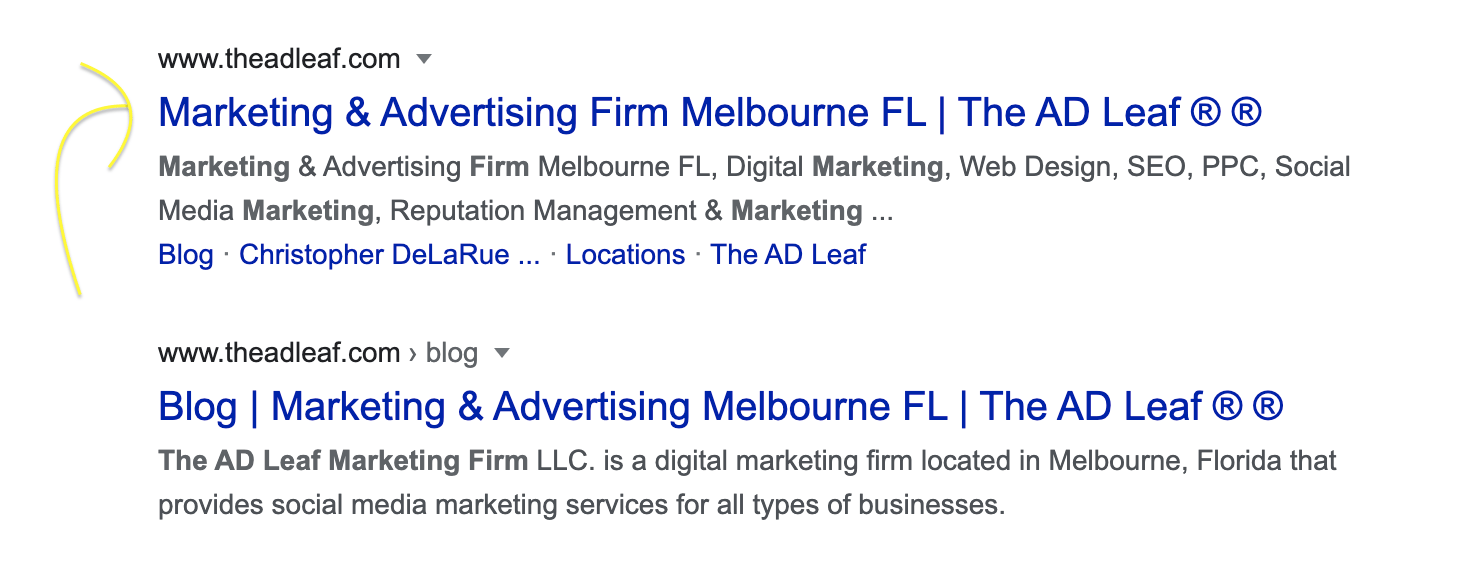 the-ad-leaf-google-marketing