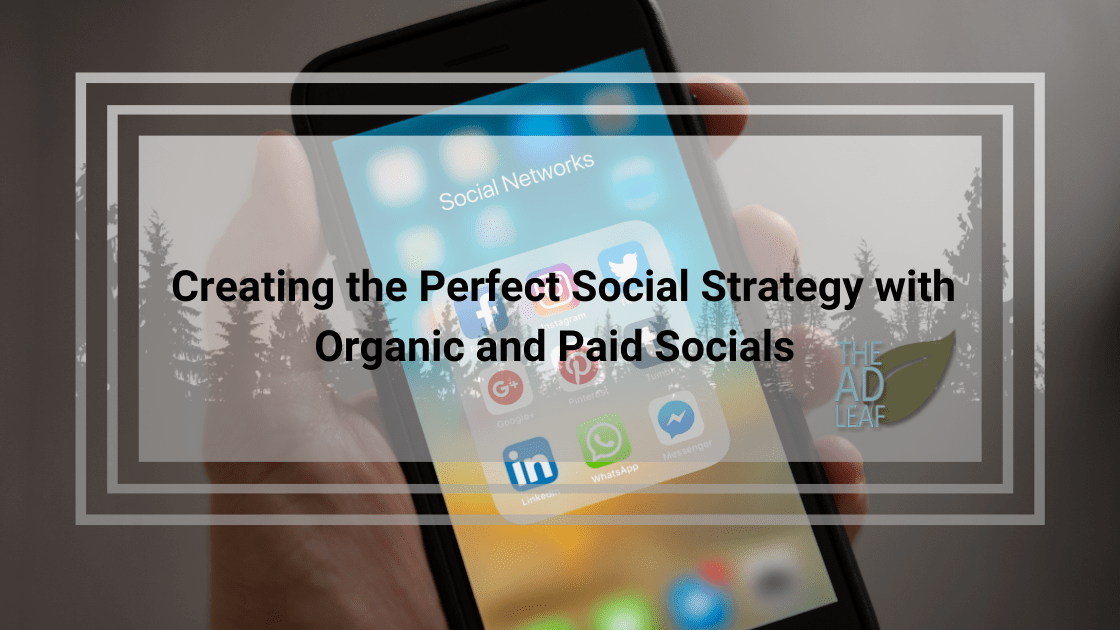 social strategy