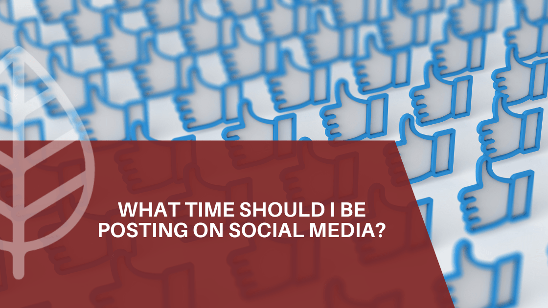 posting social media