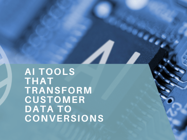 AI Tools That Transform Customer Data to Conversions