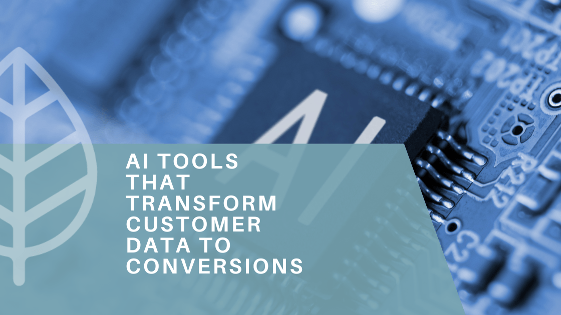 ai tools conversions