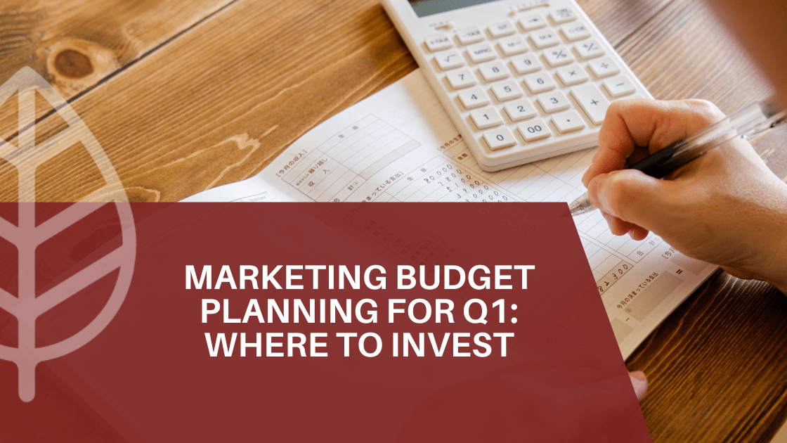 marketing budget planning q1