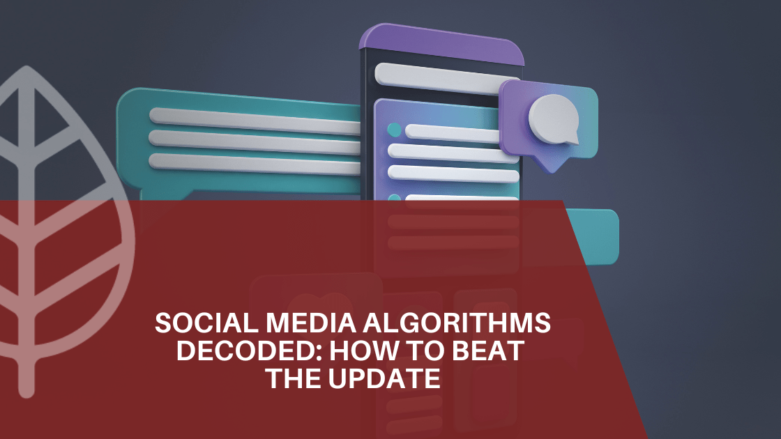 social media algorithms